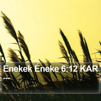 Énekek Éneke 6:12 KAR Bible Verse Image