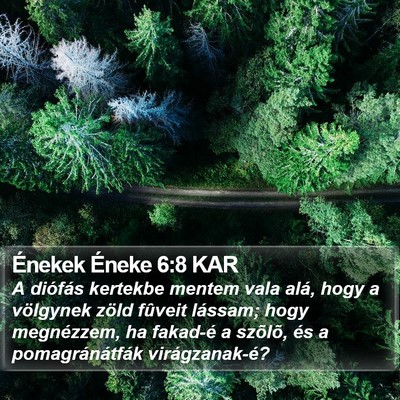 Énekek Éneke 6:8 KAR Bible Verse Image