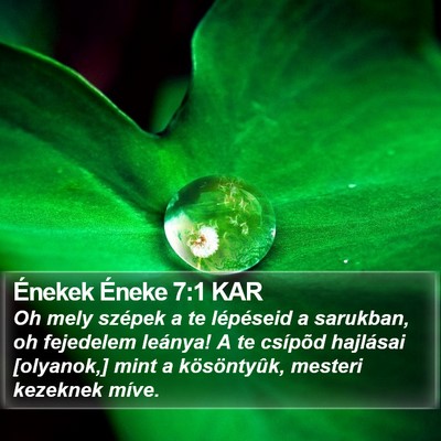 Énekek Éneke 7:1 KAR Bible Verse Image
