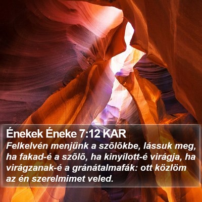 Énekek Éneke 7:12 KAR Bible Verse Image