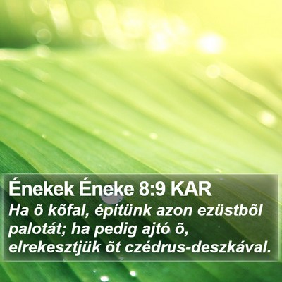 Énekek Éneke 8:9 KAR Bible Verse Image
