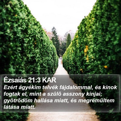 Ézsaiás 21:3 KAR Bible Verse Image