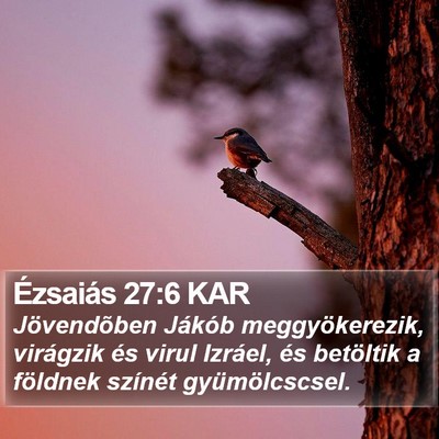 Ézsaiás 27:6 KAR Bible Verse Image