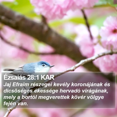 Ézsaiás 28:1 KAR Bible Verse Image
