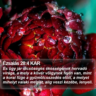 Ézsaiás 28:4 KAR Bible Verse Image