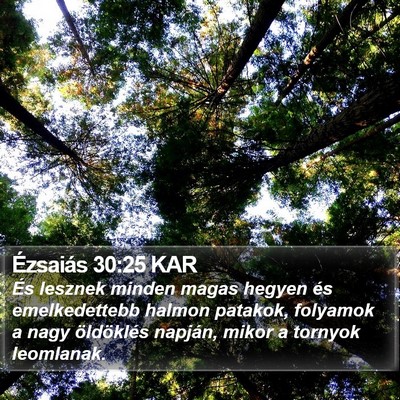 Ézsaiás 30:25 KAR Bible Verse Image