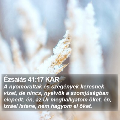 Ézsaiás 41:17 KAR Bible Verse Image