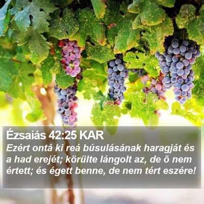 Ézsaiás 42:25 KAR Bible Verse Image