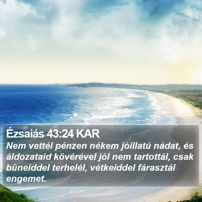 Ézsaiás 43:24 KAR Bible Verse Image
