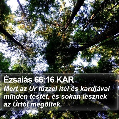 Ézsaiás 66:16 KAR Bible Verse Image