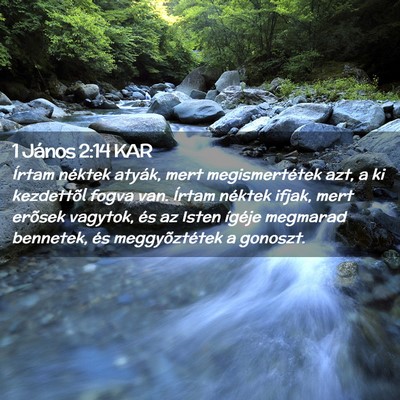 Picture 02 - 1 János 2:14 KAR - Írtam néktek atyák, mert megismertétek azt, a - Bible Verse Picture