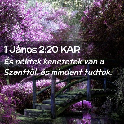 Picture 02 - 1 János 2:20 KAR - És néktek kenetetek van a Szenttõl, és - Bible Verse Picture