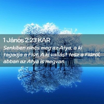 Picture 02 - 1 János 2:23 KAR - Senkiben nincs meg az Atya, a ki tagadja a Fiút. - Bible Verse Picture