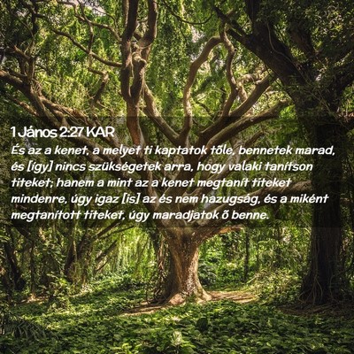 Picture 02 - 1 János 2:27 KAR - És az a kenet, a melyet ti kaptatok tõle, - Bible Verse Picture