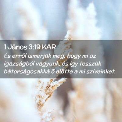 Picture 02 - 1 János 3:19 KAR - És errõl ismerjük meg, hogy mi az igazságból - Bible Verse Picture