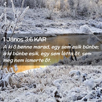 Picture 02 - 1 János 3:6 KAR - A ki õ benne marad, egy sem esik bûnbe; a ki - Bible Verse Picture