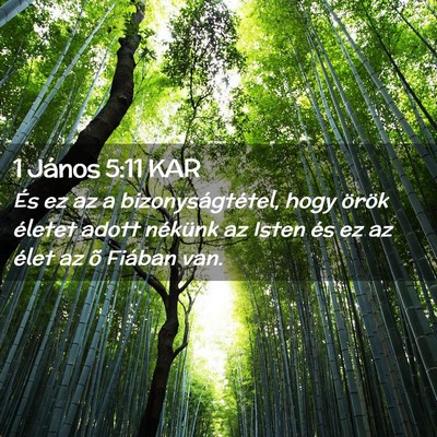 Picture 02 - 1 János 5:11 KAR - És ez az a bizonyságtétel, hogy örök életet - Bible Verse Picture