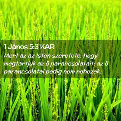 Picture 02 - 1 János 5:3 KAR - Mert az az Isten szeretete, hogy megtartjuk az õ - Bible Verse Picture