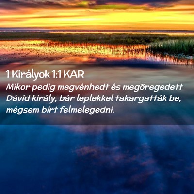 Picture 02 - 1 Királyok 1:1 KAR - Mikor pedig megvénhedt és megöregedett Dávid - Bible Verse Picture