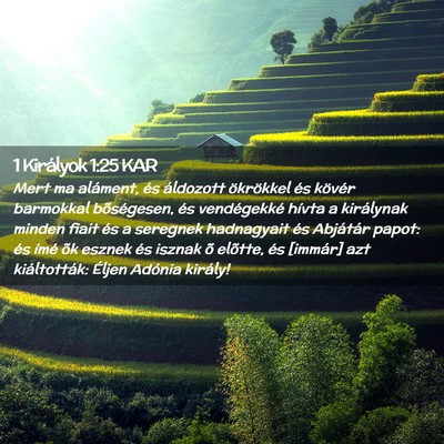 Picture 02 - 1 Királyok 1:25 KAR - Mert ma aláment, és áldozott ökrökkel és - Bible Verse Picture