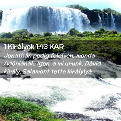 Picture 02 - 1 Királyok 1:43 KAR - Jonathán pedig felelvén, monda Adóniának: - Bible Verse Picture