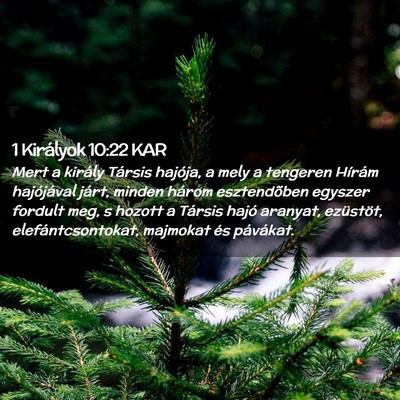 Picture 02 - 1 Királyok 10:22 KAR - Mert a király Társis hajója, a mely a tengeren - Bible Verse Picture