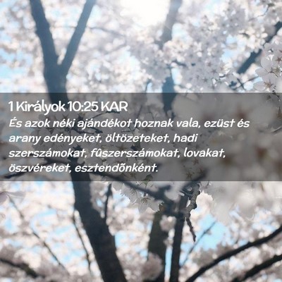 Picture 02 - 1 Királyok 10:25 KAR - És azok néki ajándékot hoznak vala, ezüst - Bible Verse Picture