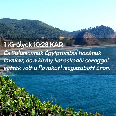 Picture 02 - 1 Királyok 10:28 KAR - És Salamonnak Égyiptomból hozának lovakat, - Bible Verse Picture