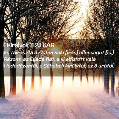 Picture 02 - 1 Királyok 11:23 KAR - És támaszta az Isten néki [más] ellenséget - Bible Verse Picture