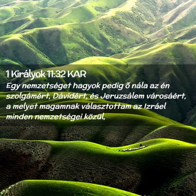 Picture 02 - 1 Királyok 11:32 KAR - Egy nemzetséget hagyok pedig õ nála az én - Bible Verse Picture