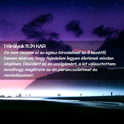 Picture 02 - 1 Királyok 11:34 KAR - De nem veszem el az egész birodalmat az õ - Bible Verse Picture