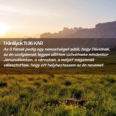 Picture 02 - 1 Királyok 11:36 KAR - Az õ fiának pedig egy nemzetséget adok, hogy - Bible Verse Picture