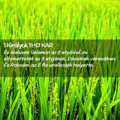 Picture 02 - 1 Királyok 11:43 KAR - És elaluvék Salamon az õ atyáival, és - Bible Verse Picture