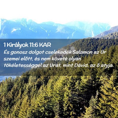 Picture 02 - 1 Királyok 11:6 KAR - És gonosz dolgot cselekedék Salamon az Úr - Bible Verse Picture
