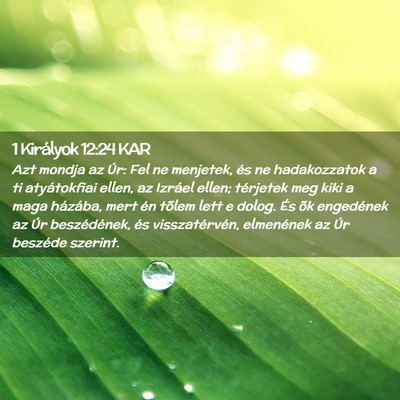 Picture 02 - 1 Királyok 12:24 KAR - Azt mondja az Úr: Fel ne menjetek, és ne - Bible Verse Picture