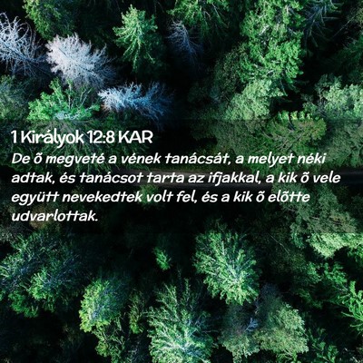 Picture 02 - 1 Királyok 12:8 KAR - De õ megveté a vének tanácsát, a melyet - Bible Verse Picture