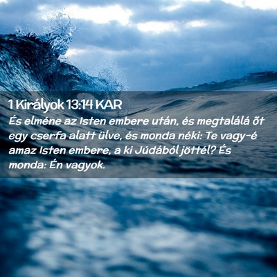 Picture 02 - 1 Királyok 13:14 KAR - És elméne az Isten embere után, és - Bible Verse Picture
