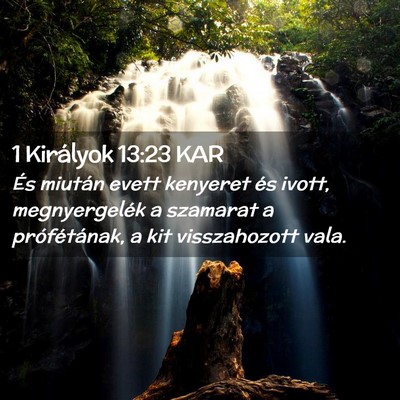 Picture 02 - 1 Királyok 13:23 KAR - És miután evett kenyeret és ivott, - Bible Verse Picture