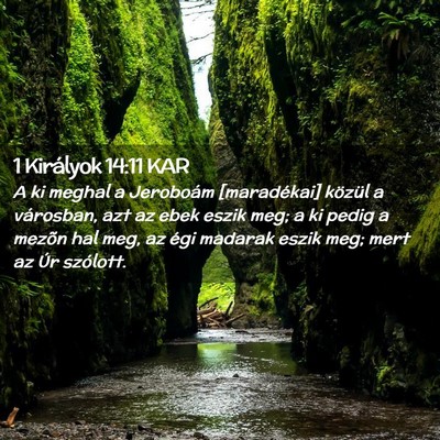 Picture 02 - 1 Királyok 14:11 KAR - A ki meghal a Jeroboám [maradékai] közül a - Bible Verse Picture