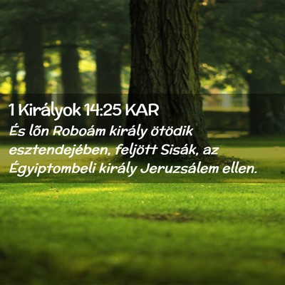 Picture 02 - 1 Királyok 14:25 KAR - És lõn Roboám király ötödik esztendejében, - Bible Verse Picture
