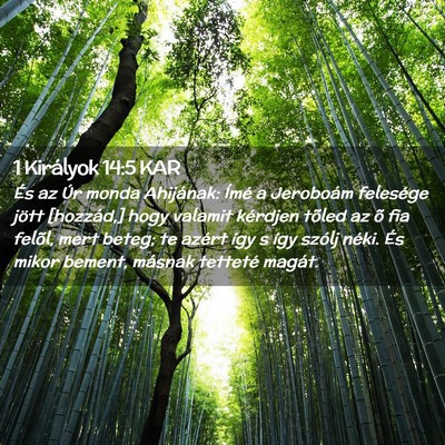 Picture 02 - 1 Királyok 14:5 KAR - És az Úr monda Ahijának: Ímé a Jeroboám - Bible Verse Picture