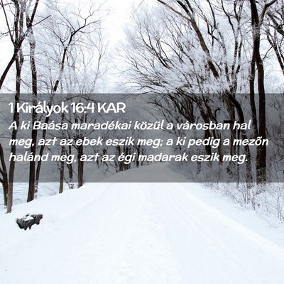 Picture 02 - 1 Királyok 16:4 KAR - A ki Baása maradékai közül a városban hal - Bible Verse Picture
