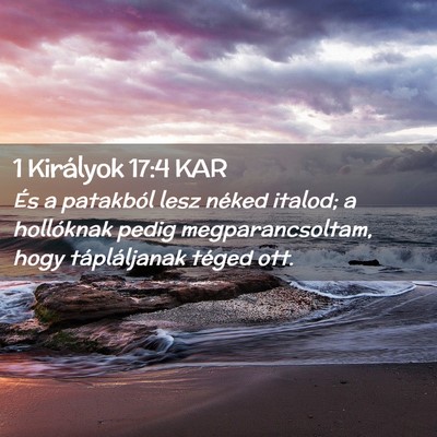 Picture 02 - 1 Királyok 17:4 KAR - És a patakból lesz néked italod; a hollóknak - Bible Verse Picture