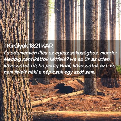 Picture 02 - 1 Királyok 18:21 KAR - És odamenvén Illés az egész sokasághoz, - Bible Verse Picture