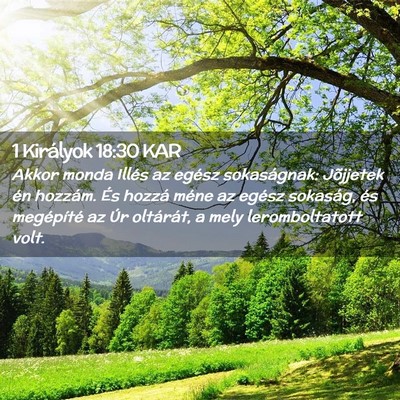 Picture 02 - 1 Királyok 18:30 KAR - Akkor monda Illés az egész sokaságnak: - Bible Verse Picture