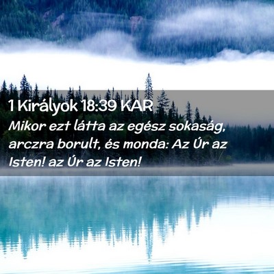 Picture 02 - 1 Királyok 18:39 KAR - Mikor ezt látta az egész sokaság, arczra - Bible Verse Picture