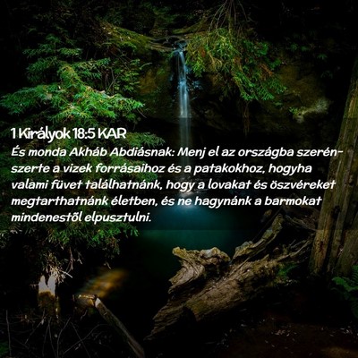 Picture 02 - 1 Királyok 18:5 KAR - És monda Akháb Abdiásnak: Menj el az országba - Bible Verse Picture