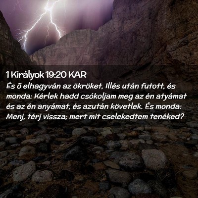 Picture 02 - 1 Királyok 19:20 KAR - És õ elhagyván az ökröket, Illés után - Bible Verse Picture