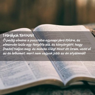 Picture 02 - 1 Királyok 19:4 KAR - Õ pedig elméne a pusztába egynapi járó - Bible Verse Picture