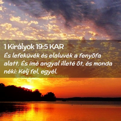 Picture 02 - 1 Királyok 19:5 KAR - És lefeküvék és elaluvék a fenyõfa alatt. - Bible Verse Picture